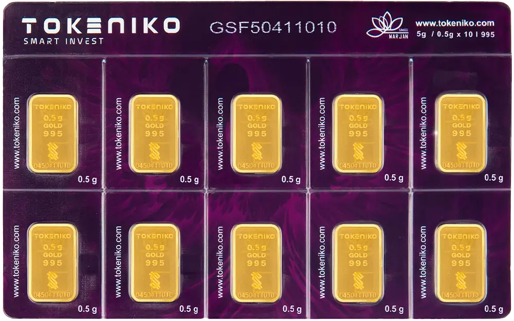 gold-bar-pack10-0-5gram-24carat